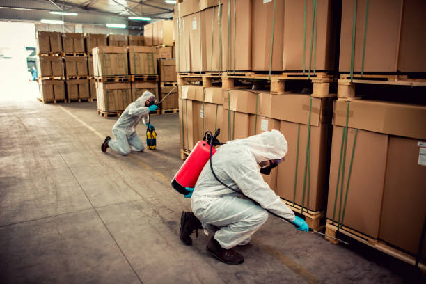 Best Mosquito Control Services  in Centerfield, UT