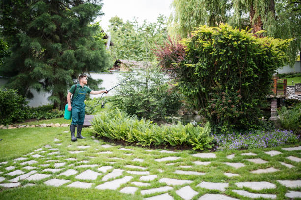 Best Affordable Pest Control Services  in Centerfield, UT