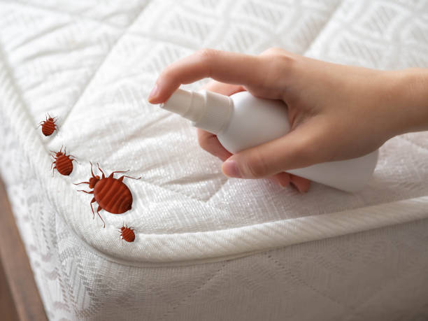 Best Emergency Pest Control  in Centerfield, UT