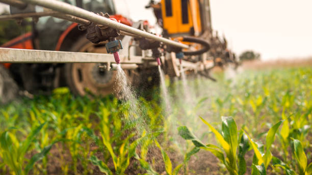 Best Pest Control Cost  in Centerfield, UT