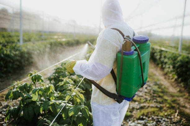 Best Ant Control Services  in Centerfield, UT